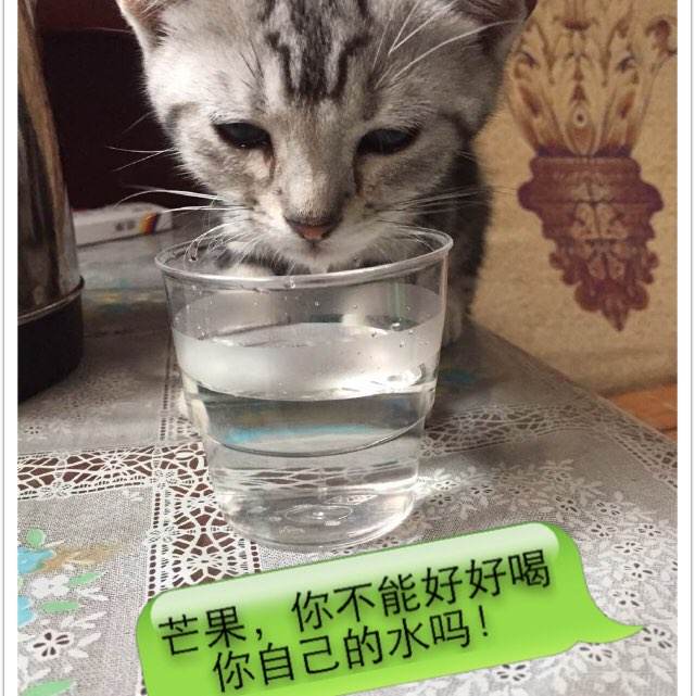 鲍林格林州立大学成绩单修改